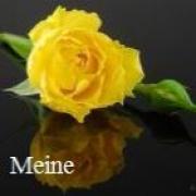 tarotisten.be - tarotist Meine